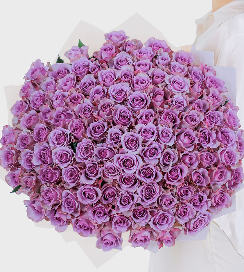 100 Purple Roses