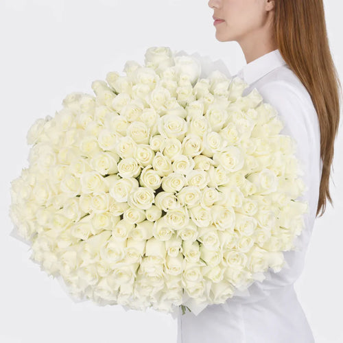 200 White Roses