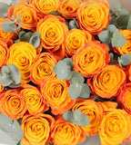 24 Orange Roses