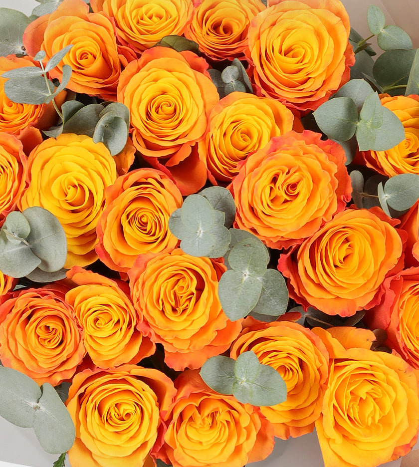 24 Orange Roses