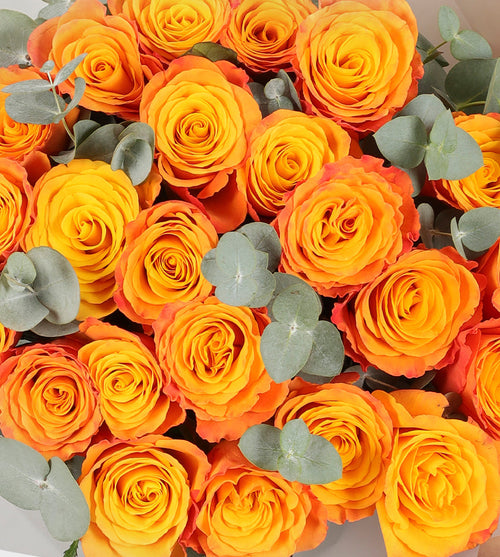 24 Orange Roses