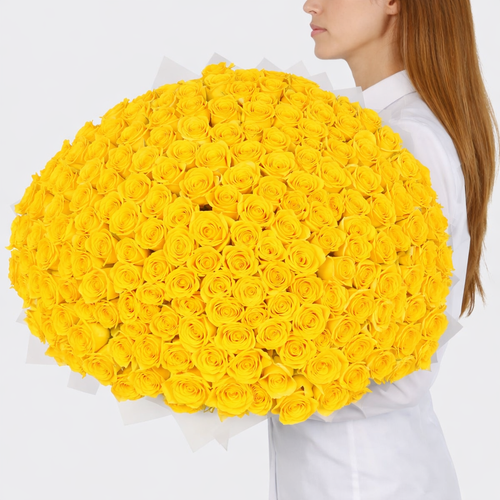 200 Yellow Roses