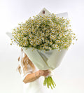 Chamomile Charm