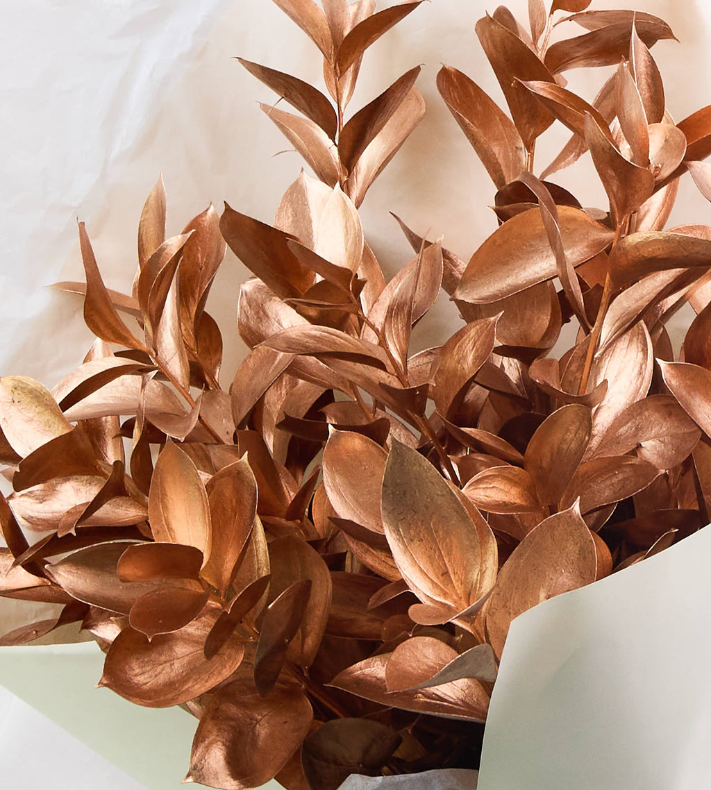 Bronze Glow