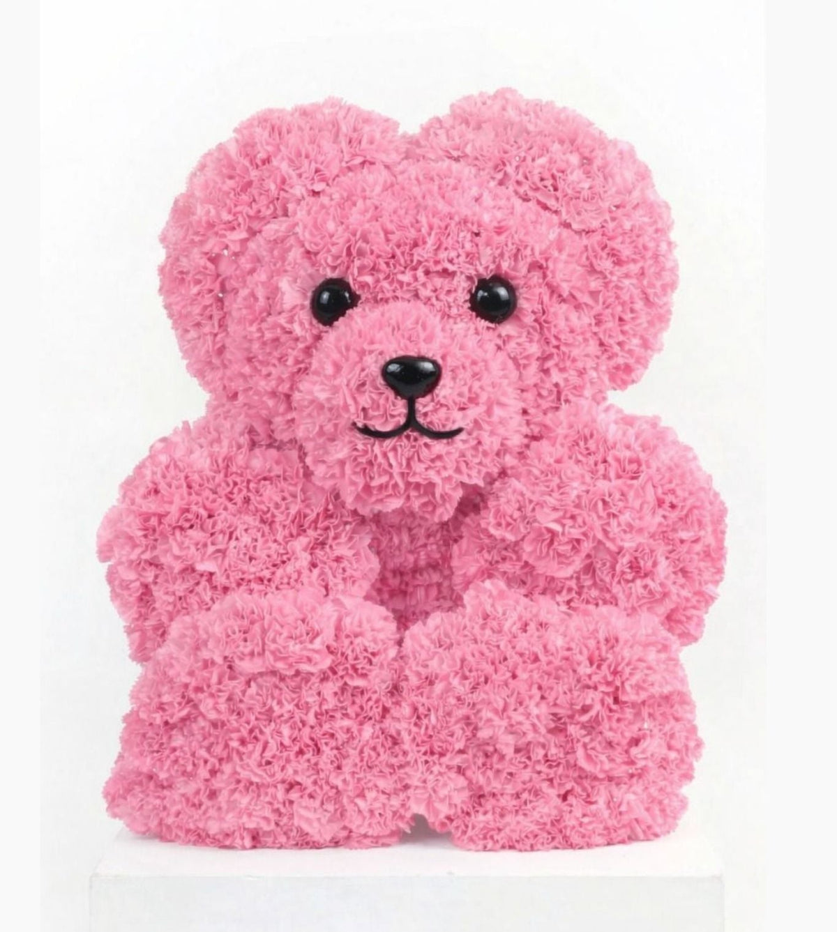 T Bear