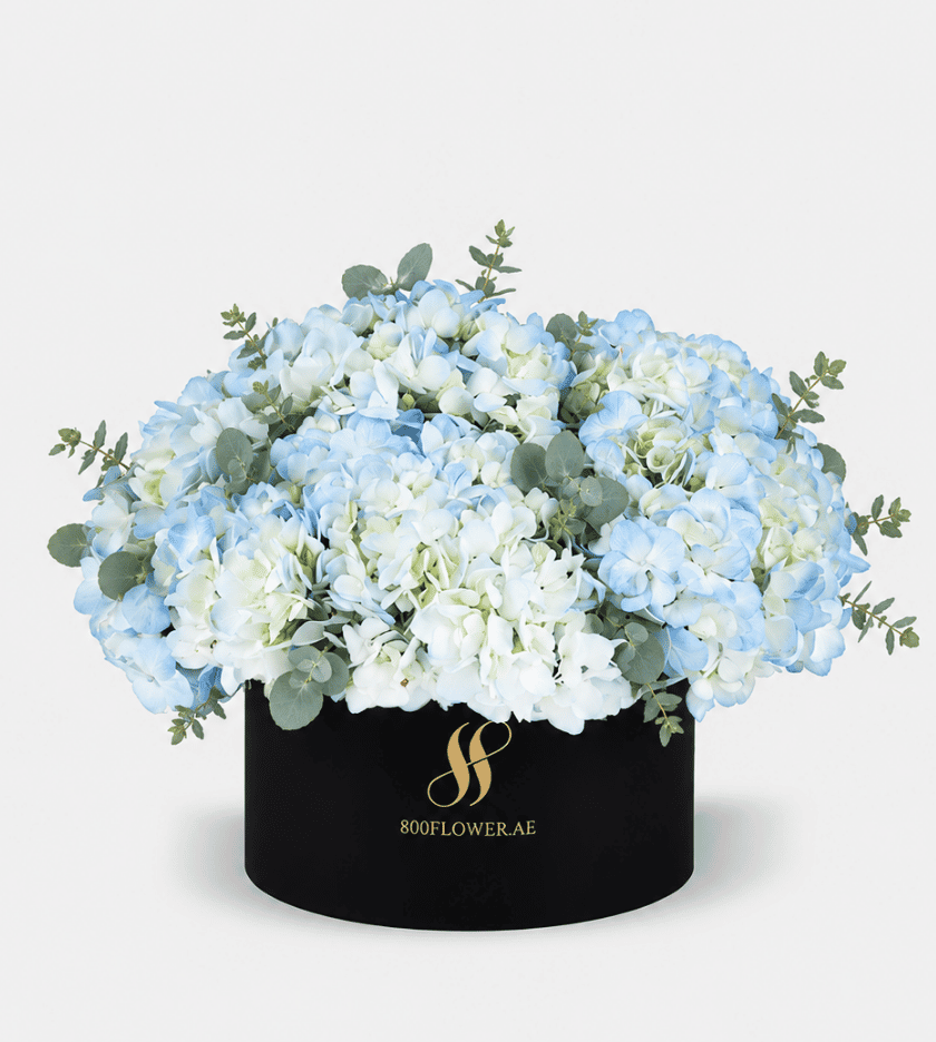 Blue Hydrangea Medium Round Box