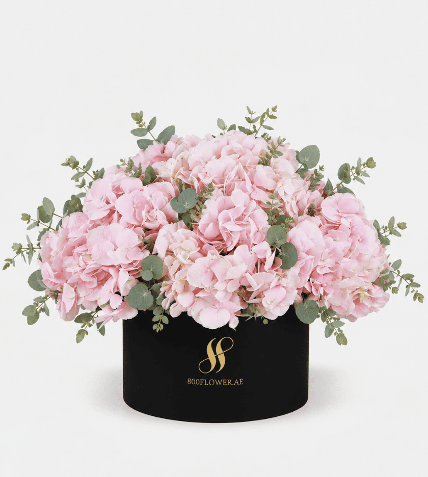 Pink Hydrangea Medium Round Box