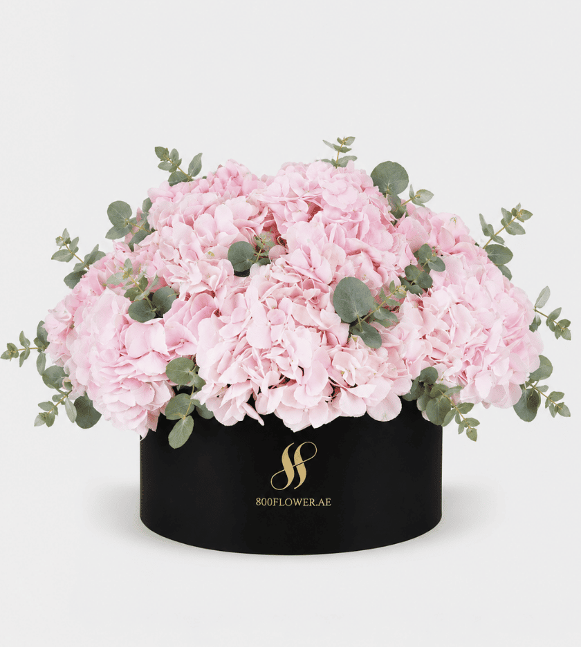 Pink Hydrangea Large Round Box