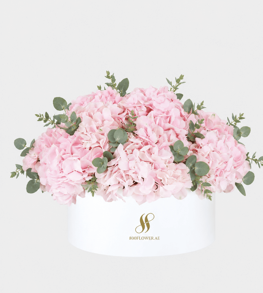 Pink Hydrangea Large Round Box