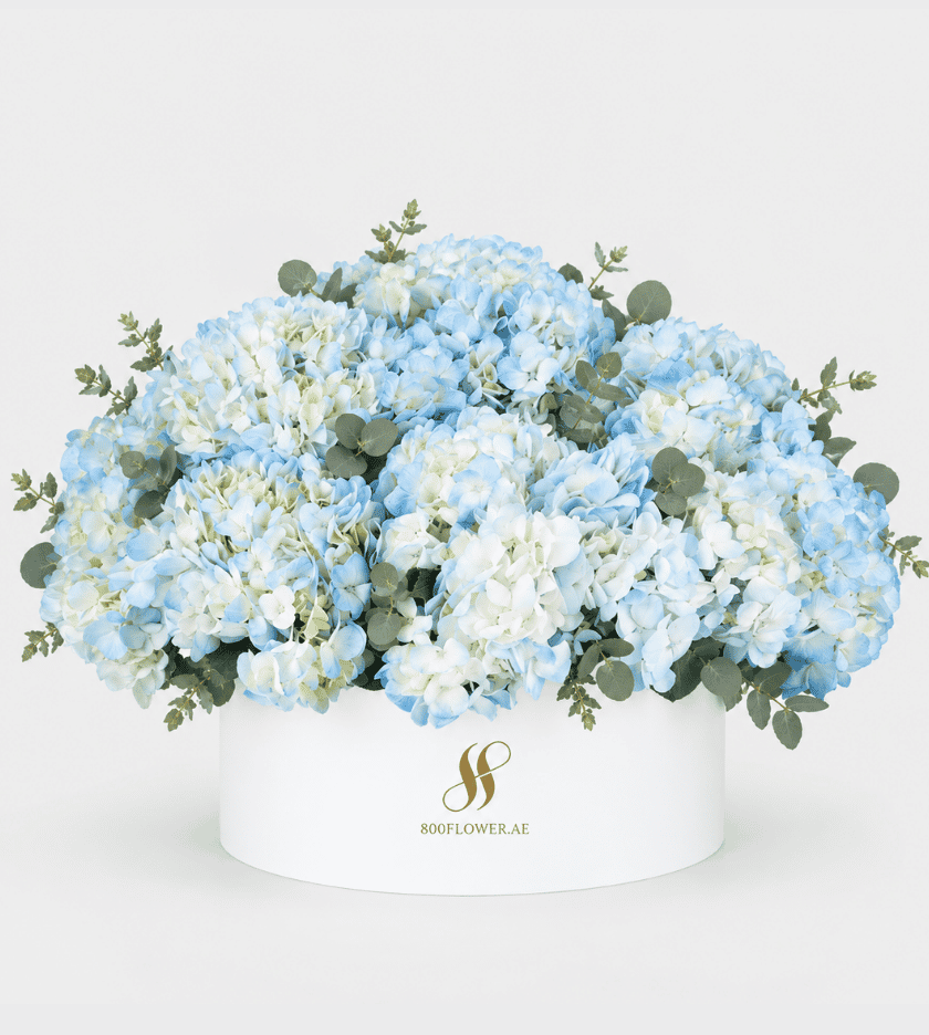 Blue Hydrangea Large Round Box