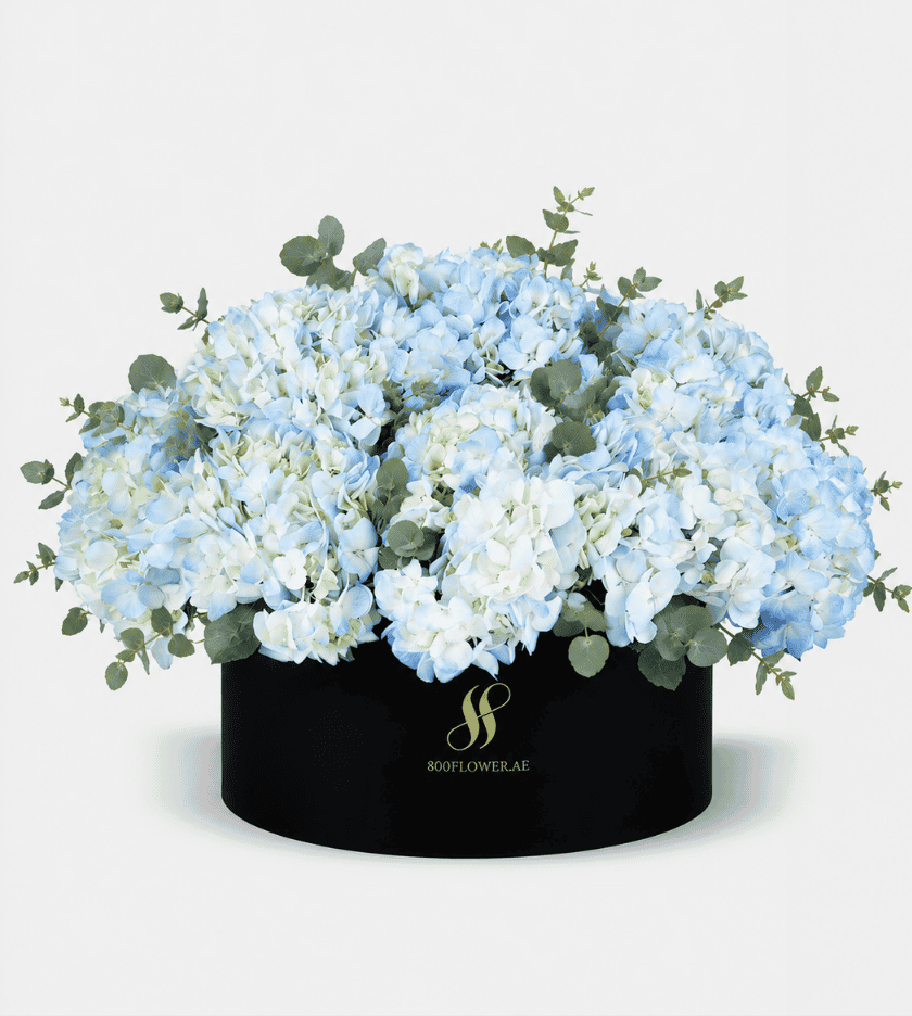 Blue Hydrangea Large Round Box