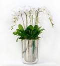 Lustre