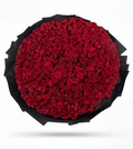 1000 Red Roses