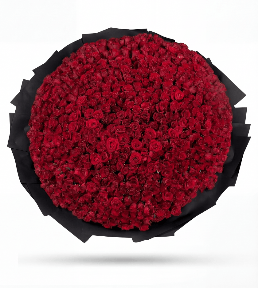 1000 Red Roses