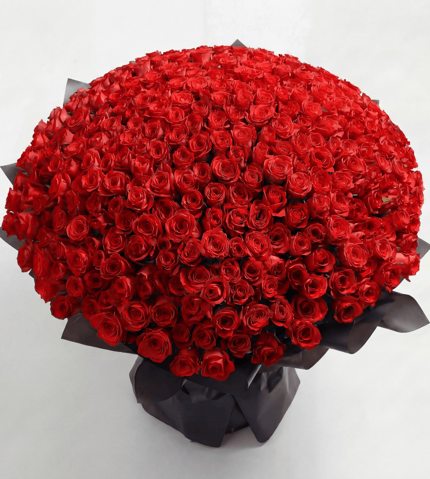 500 Red Roses