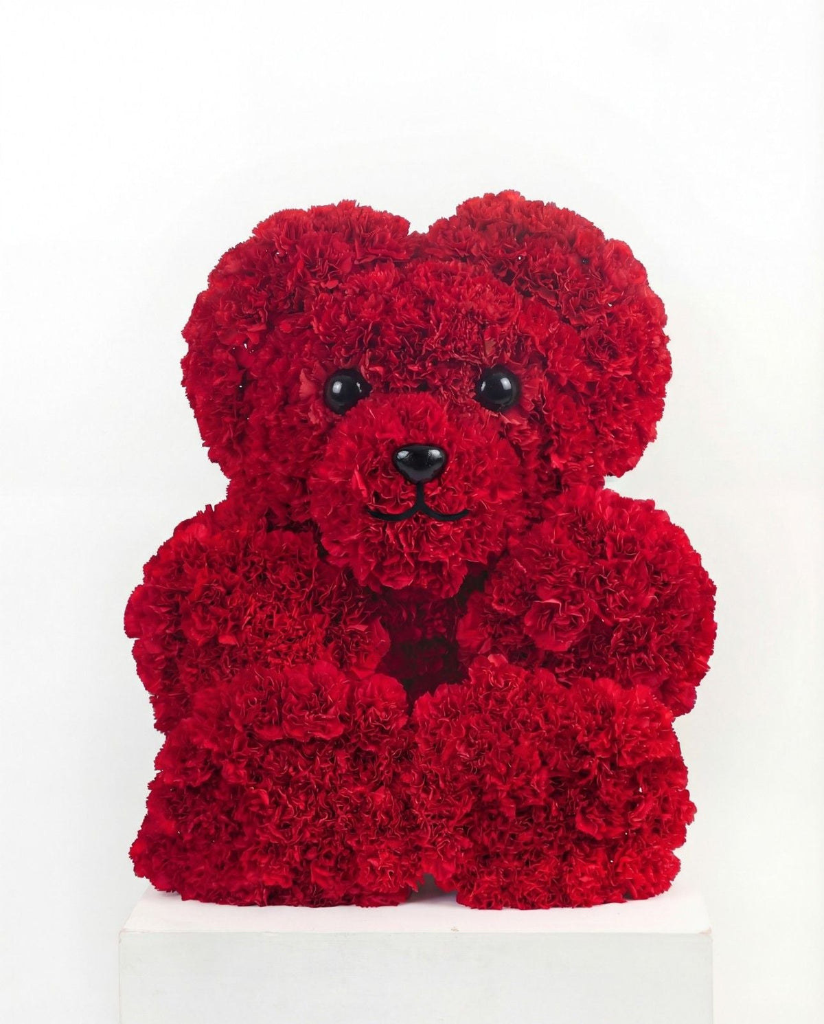 T Bear