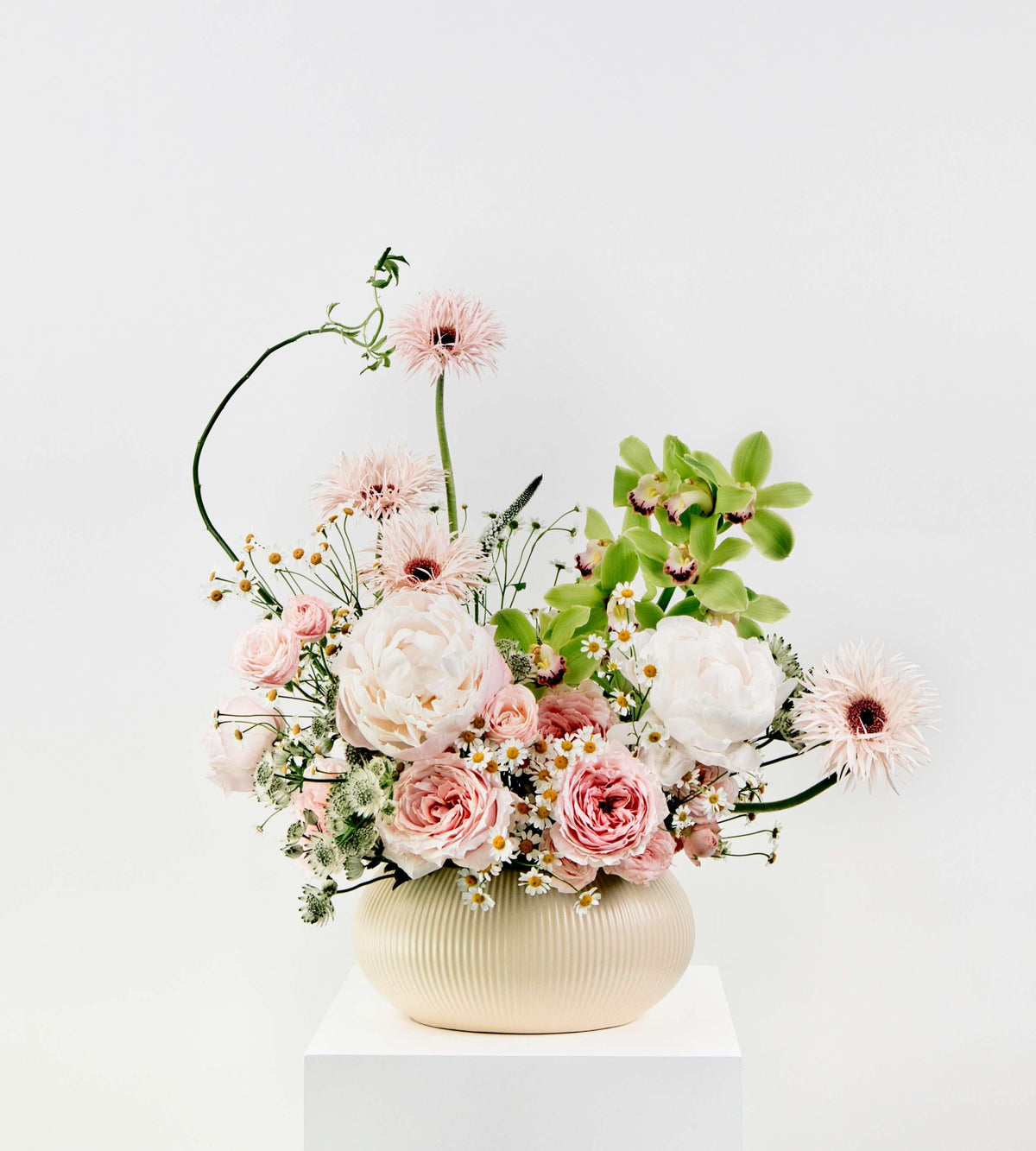 Whispering Bloom