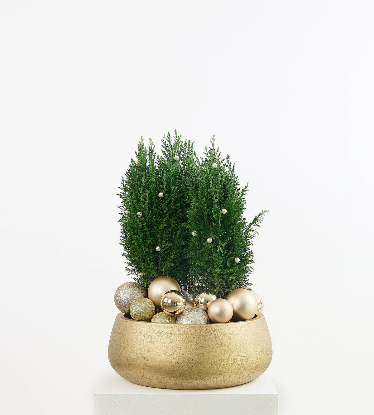 Le Sapin