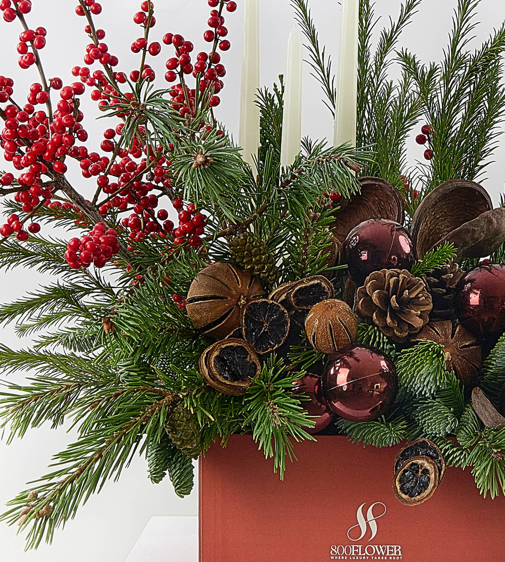 The Magic of Christmas
