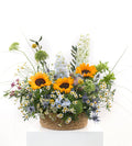 Sunshine Blooms